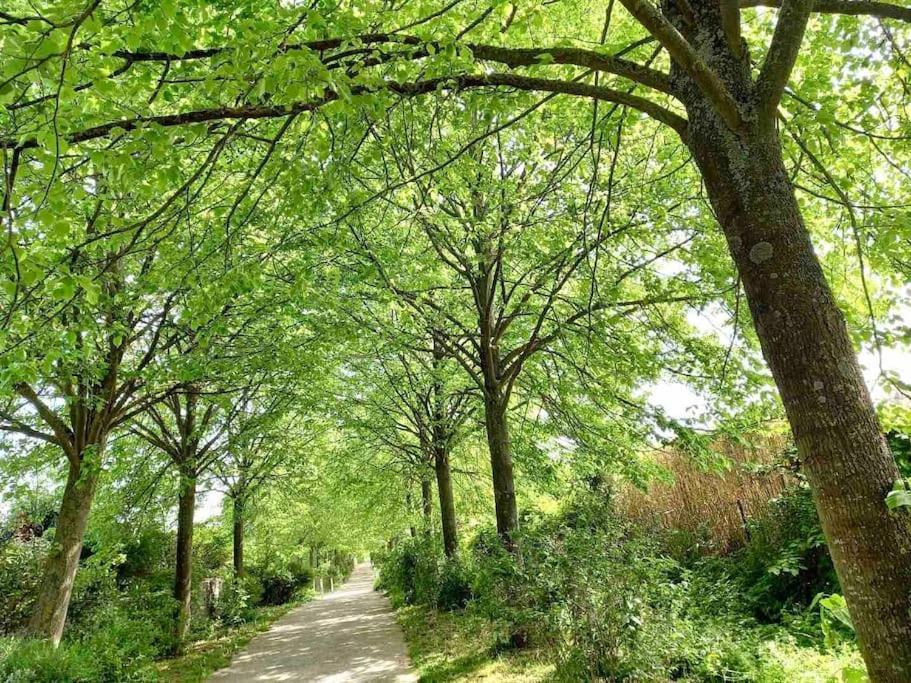 Le Domaine Reserve , Parking Et Ecrin De Verdure Amiens Ngoại thất bức ảnh